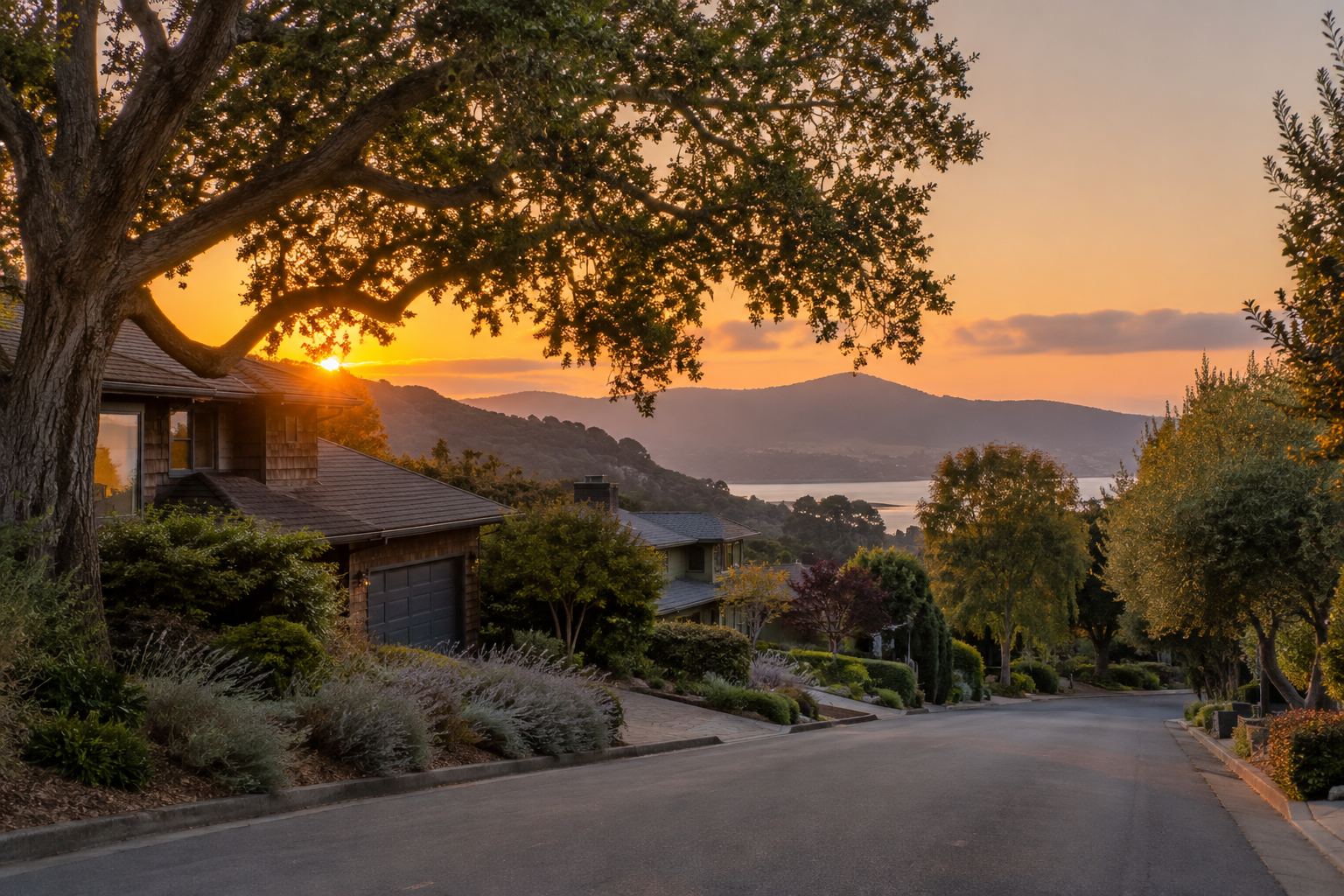 A Marin County street at sunset, illustrative